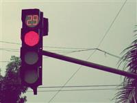 Dùng điện thoại khi chờ đèn đỏ - tài xế sẽ bị phạt 800.000vnđ