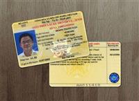 Không bắt buộc đổi GPLX sang PET