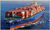 Luồng gió mới cho các công ty vận tải biển Việt Nam